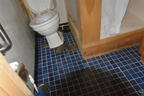 15554 Highway 1 Cook MN 55723