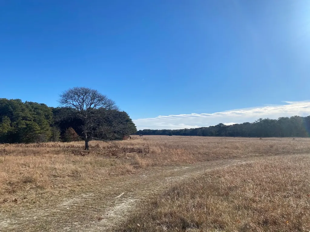 101 Tradewinds Road Oak Bluffs MA 02557