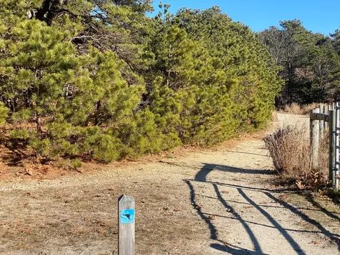 101 Tradewinds Road Oak Bluffs MA 02557