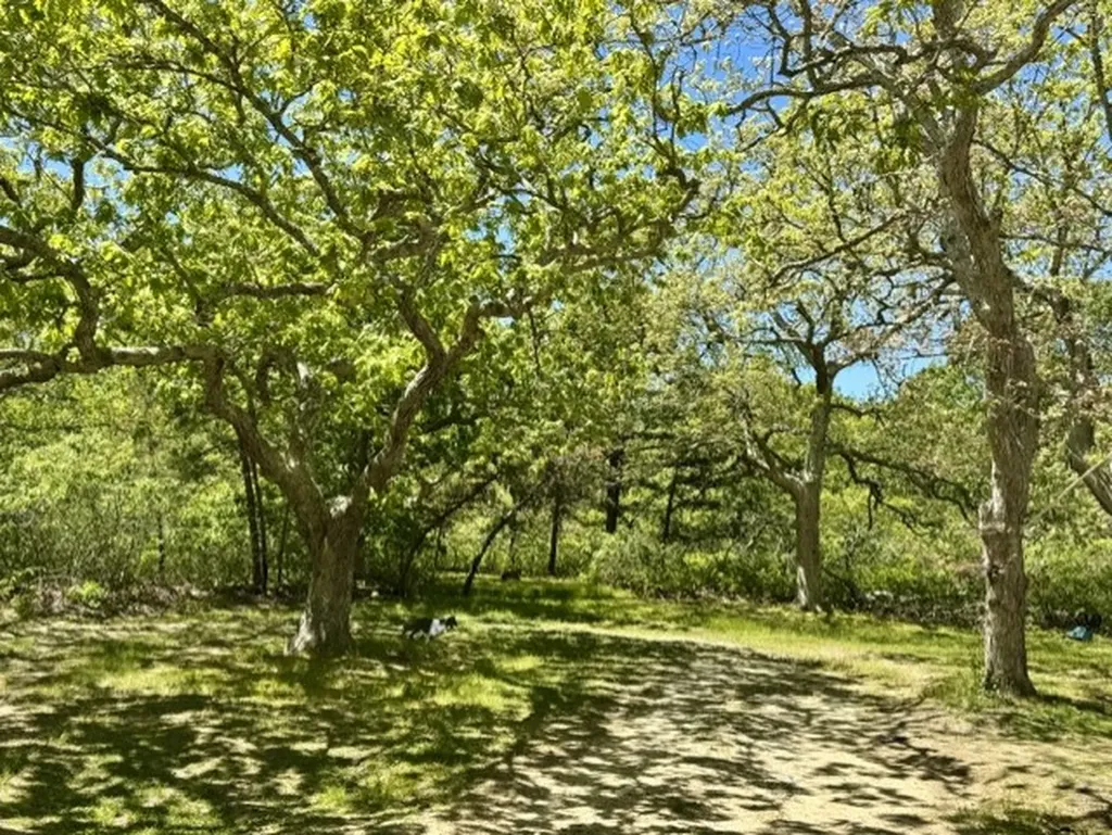 47 Quenames Road Chilmark MA 02535