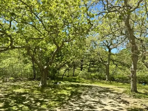 47 Quenames Road Chilmark MA 02535
