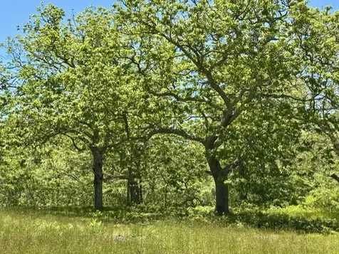 47 Quenames Road Chilmark MA 02535