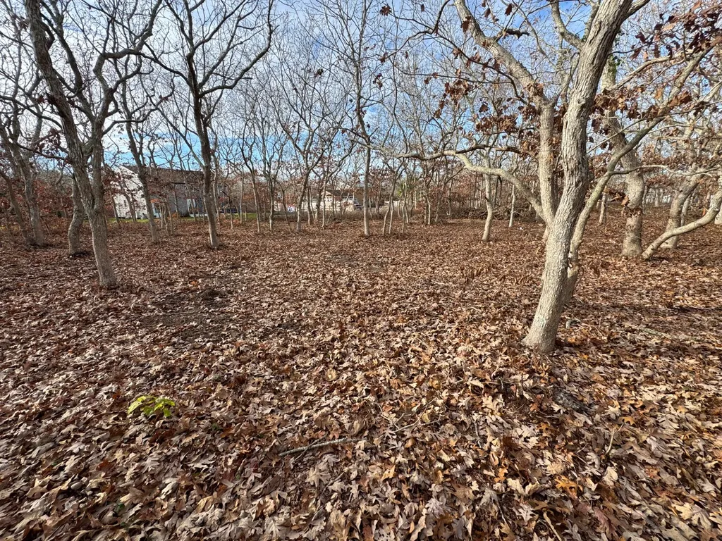 36 Boylston Drive Edgartown MA 02539