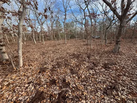 36 Boylston Drive Edgartown MA 02539