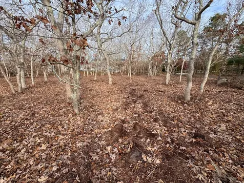 36 Boylston Drive Edgartown MA 02539