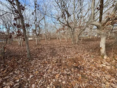 36 Boylston Drive Edgartown MA 02539