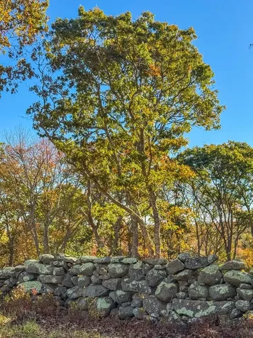 31 Tower Lane And 34 Ebens Lane Chilmark MA 02535