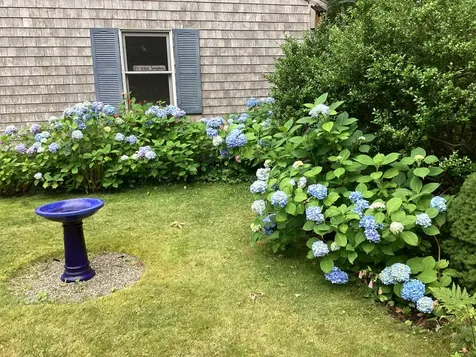 52 Old Coach Road West Tisbury MA 02575