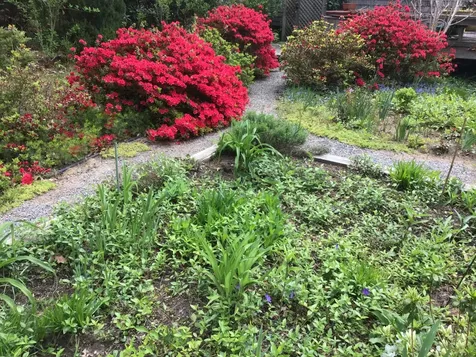 52 Old Coach Road West Tisbury MA 02575