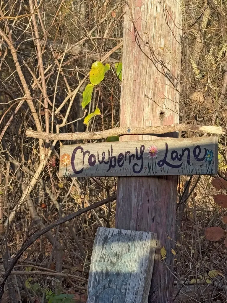 1 Crowberry Lane Chilmark MA 02535