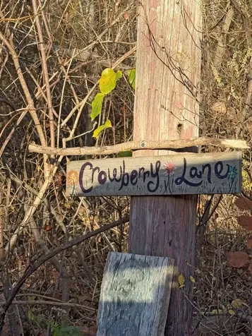 1 Crowberry Lane Chilmark MA 02535