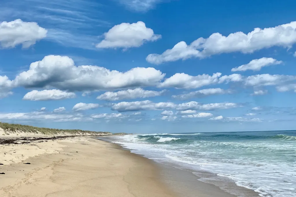 99 Cygnet Way Chilmark MA 02535