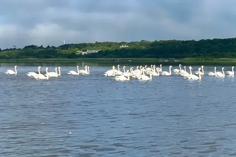 99 Cygnet Way Chilmark MA 02535