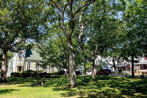 41 Trinity Park Oak Bluffs MA 02557