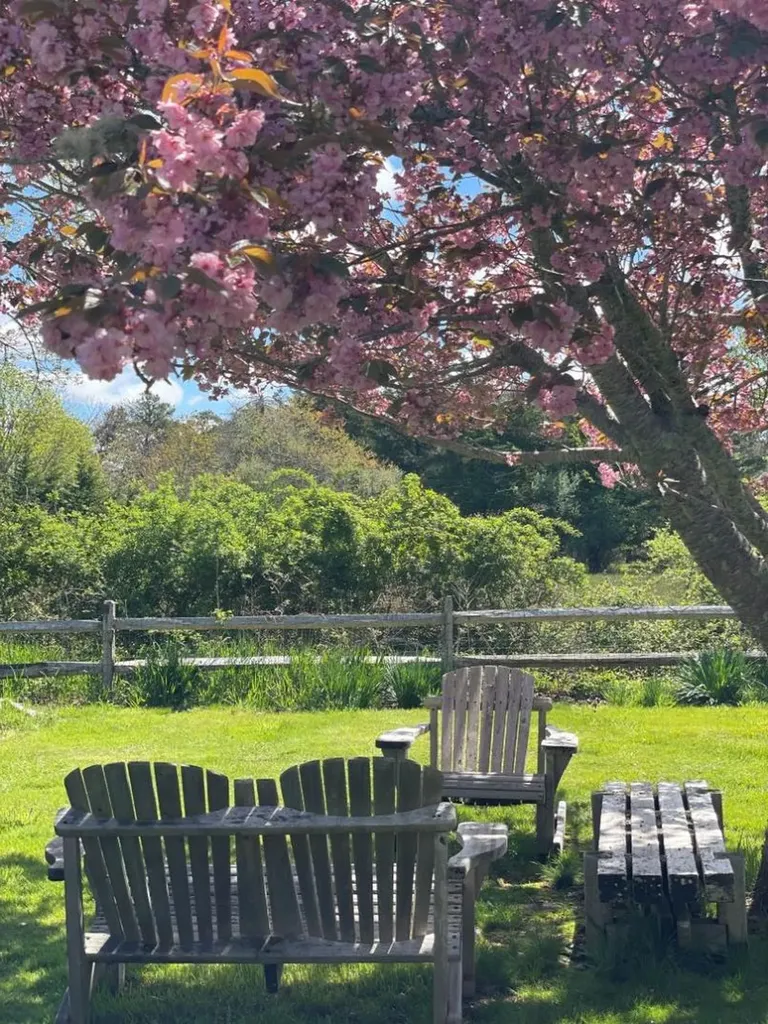 10 Dan'ls Way West Tisbury MA 02575