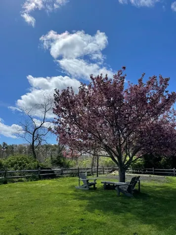 10 Dan'ls Way West Tisbury MA 02575