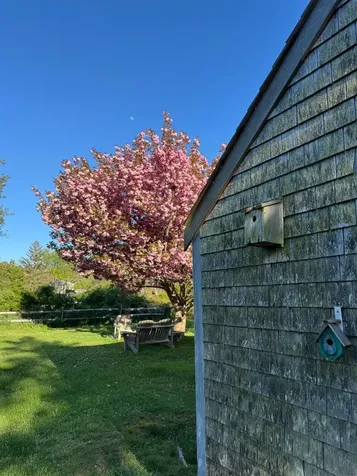 10 Dan'ls Way West Tisbury MA 02575