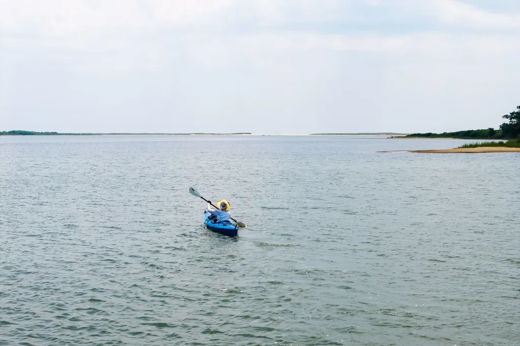 6 Janes Cove Road Edgartown MA 02539