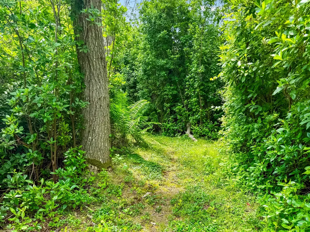 00 Old Field Road Aquinnah MA 02535