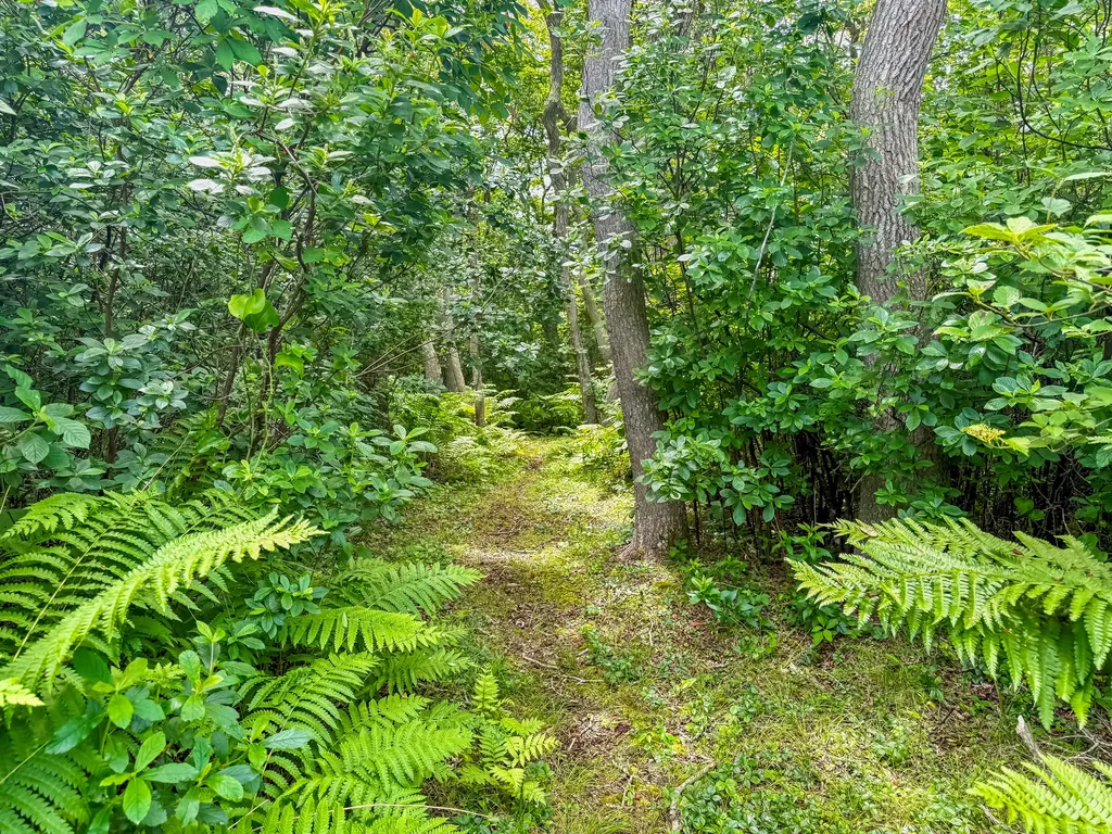 00 Old Field Road Aquinnah MA 02535
