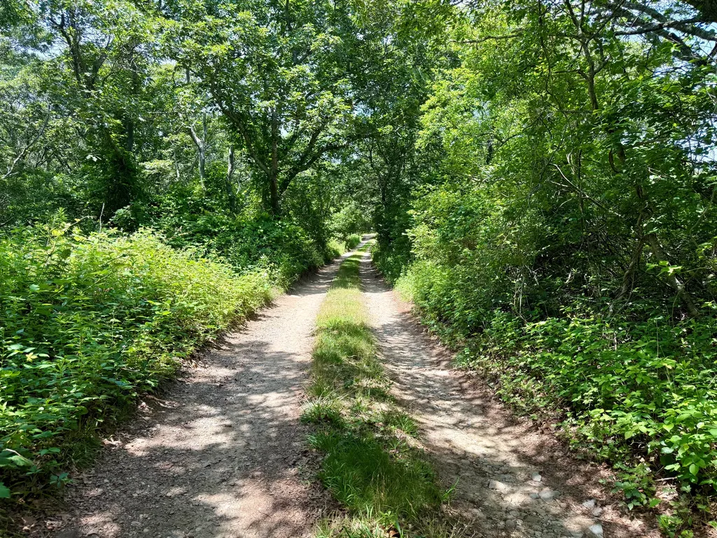 00 Old Field Road Aquinnah MA 02535