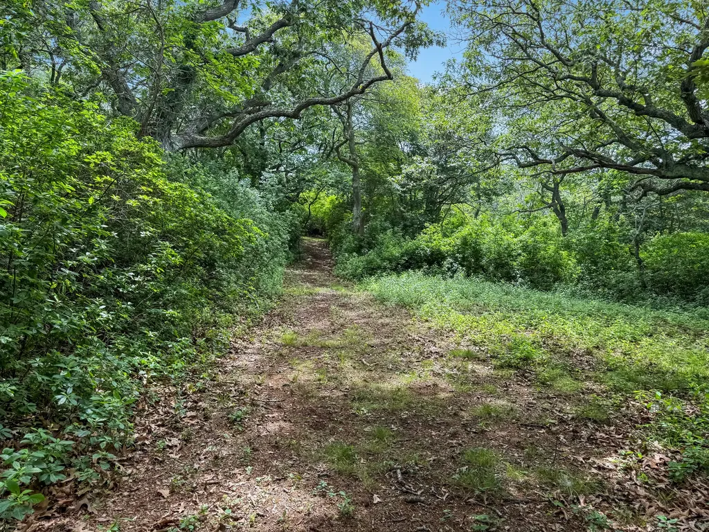 00 Old Field Road Aquinnah MA 02535