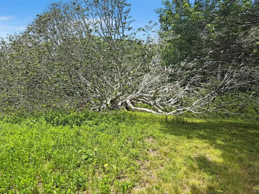 00 Old Field Road Aquinnah MA 02535