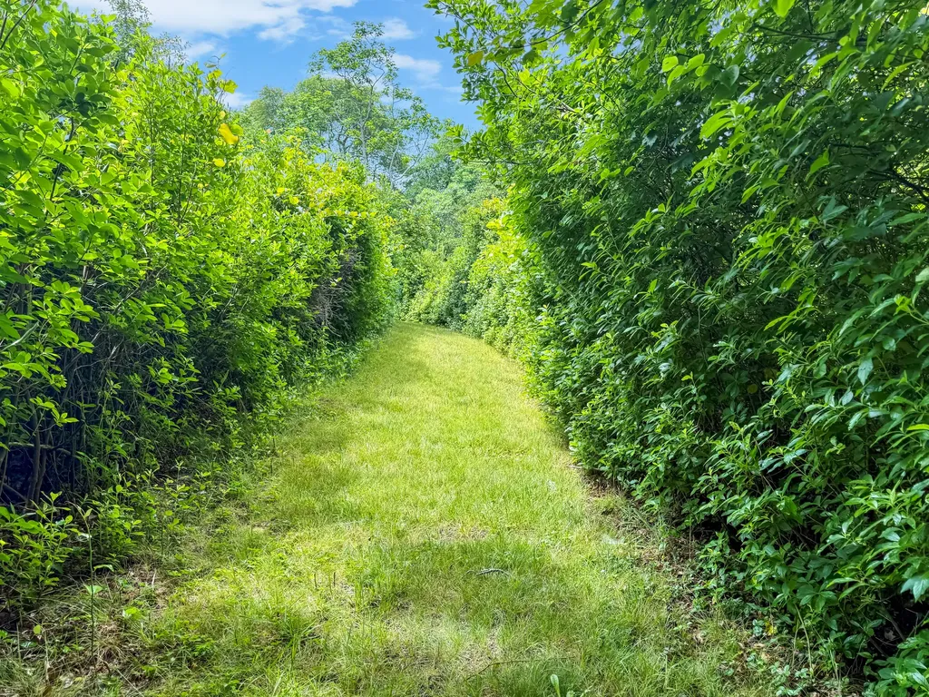 00 Old Field Road Aquinnah MA 02535