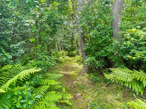 00 Old Field Road Aquinnah MA 02535