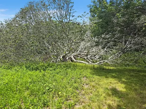 00 Old Field Road Aquinnah MA 02535