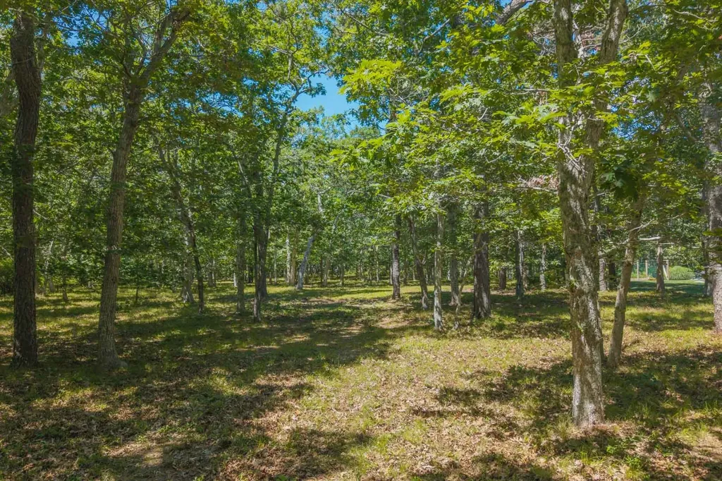 4 Wilsons Lane Edgartown MA 02539