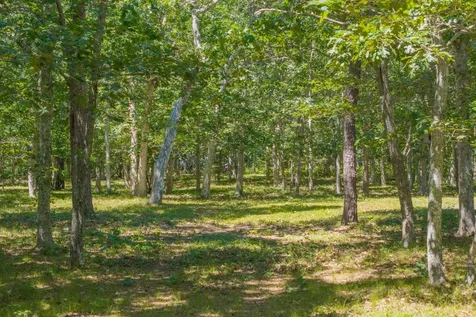 4 Wilsons Lane Edgartown MA 02539