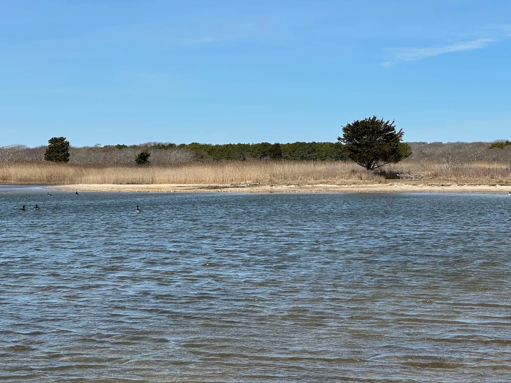 0, 36, 38 Black Point Road Chilmark MA 02535