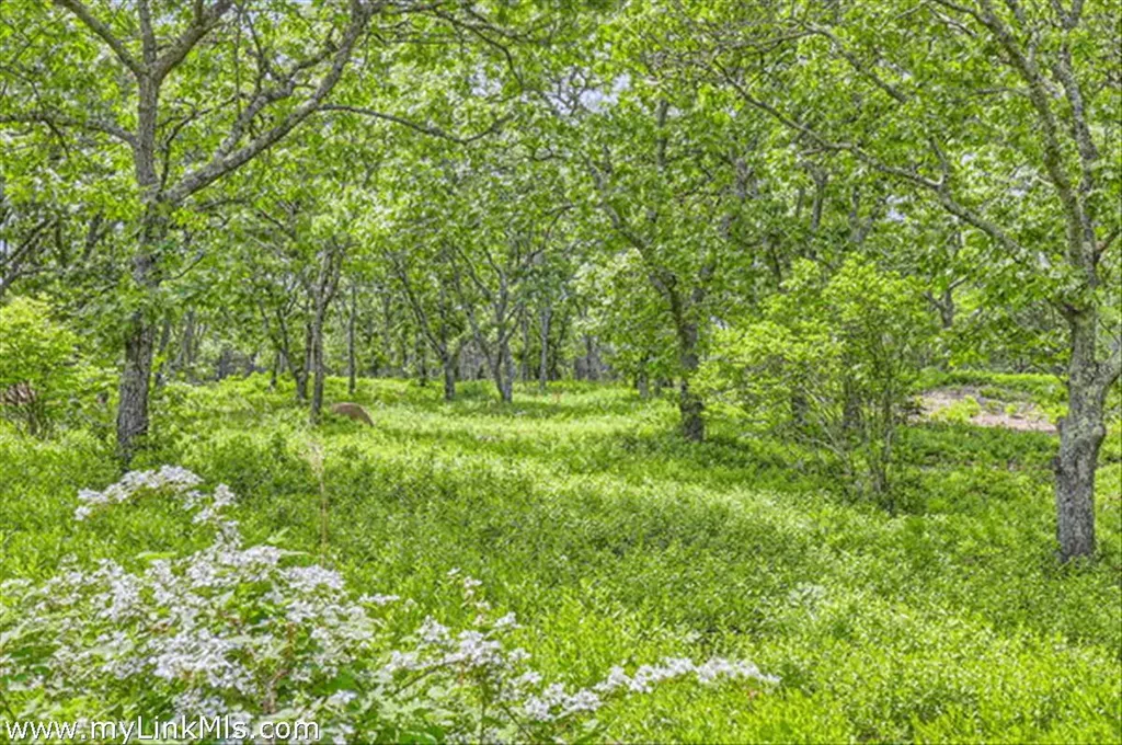 32 Stonewall Road And 4 Cedar Lane Chilmark MA 02535