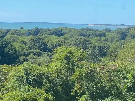 5 Oceanview Farm Road Chilmark MA 02535