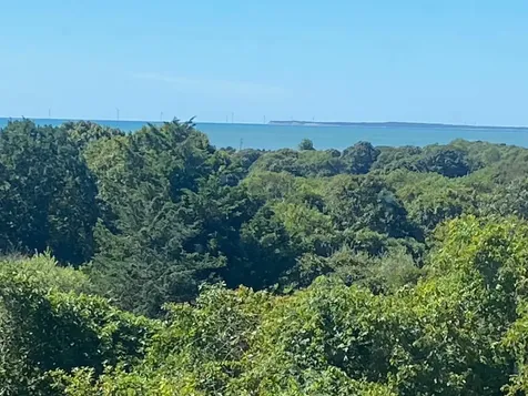 5 Oceanview Farm Road Chilmark MA 02535