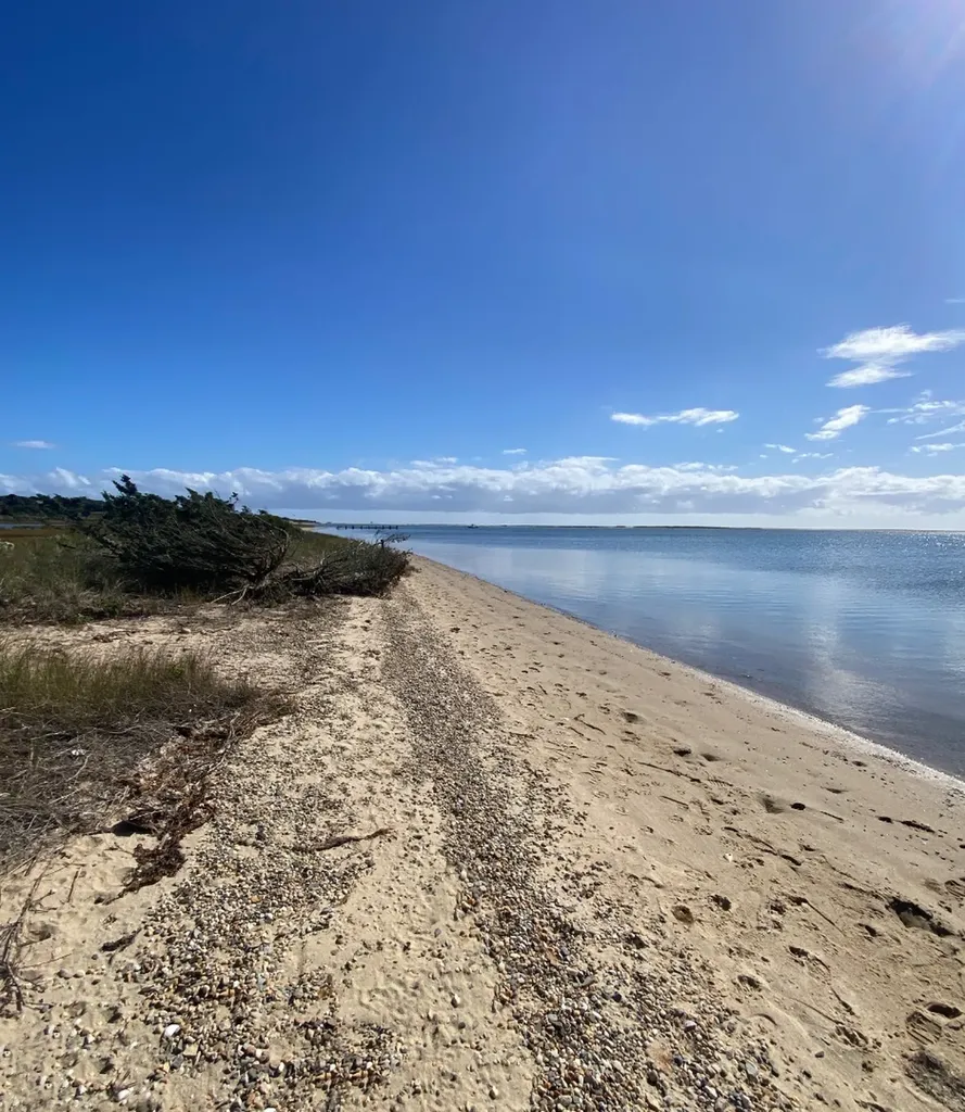 9 Maqua Way Edgartown MA 02539