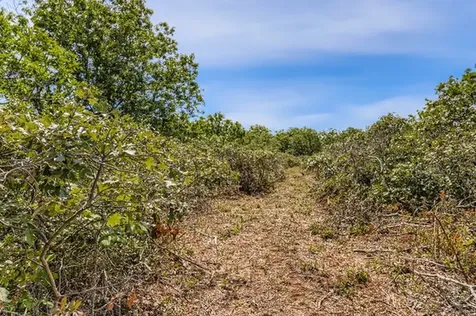 32 Edgartown-west Tisbury Road West Tisbury MA 02575