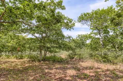 32 Edgartown-west Tisbury Road West Tisbury MA 02575