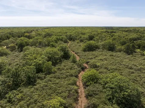 32 Edgartown-west Tisbury Road West Tisbury MA 02575