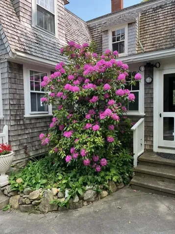 33 Goethals Way Vineyard Haven MA 02568