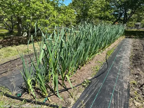 60 Meetinghouse Road Chilmark MA 02535