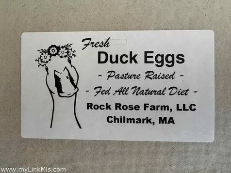 60 Meetinghouse Road Chilmark MA 02535