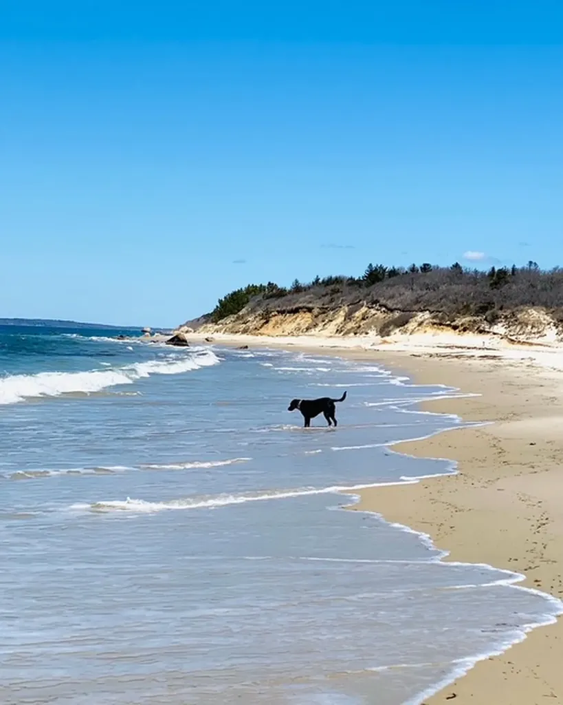 53 Stoney Hill Road West Tisbury MA 02575