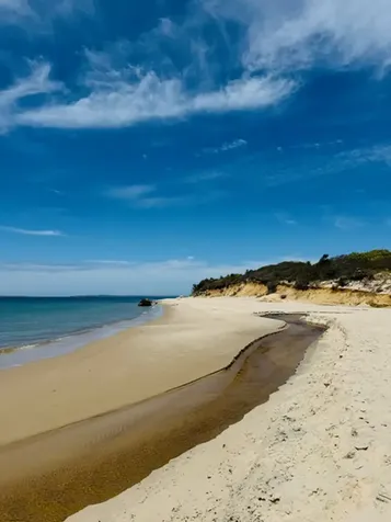 53 Stoney Hill Road West Tisbury MA 02575