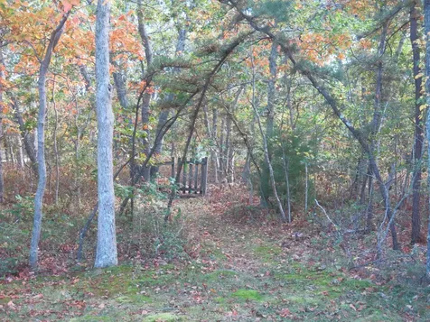 34 Pine Lane West Tisbury MA 02575