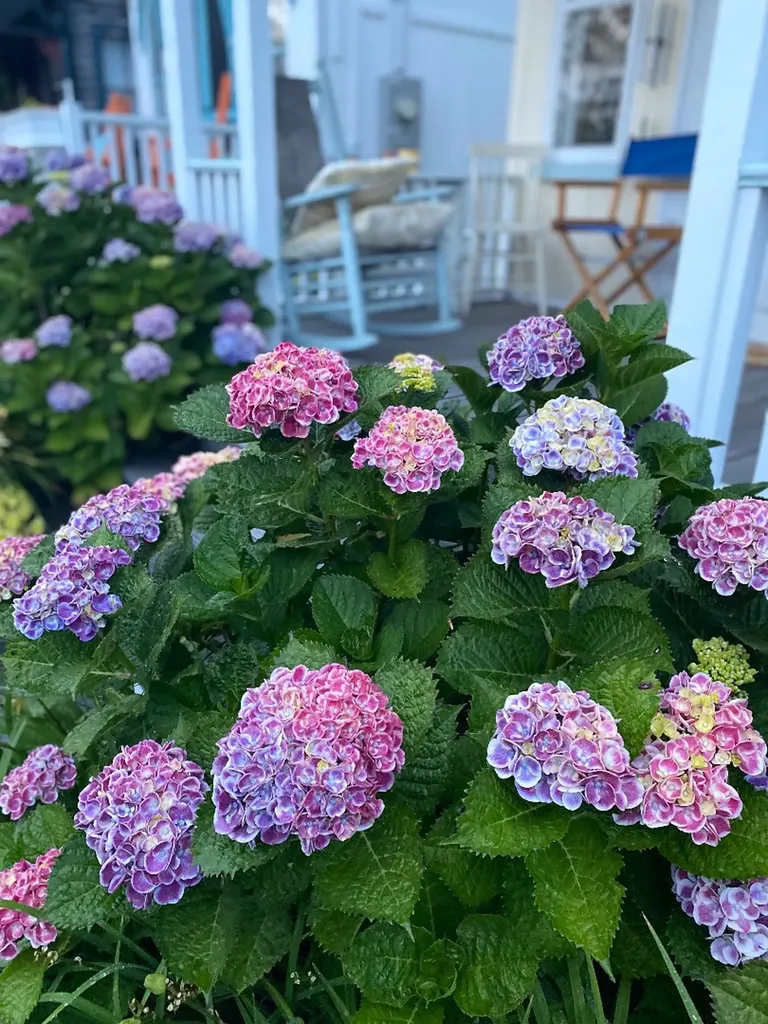 17 Siloam Avenue Oak Bluffs MA 02557