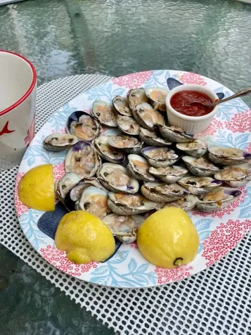 48 Vineyard Avenue Extension Oak Bluffs MA 02568