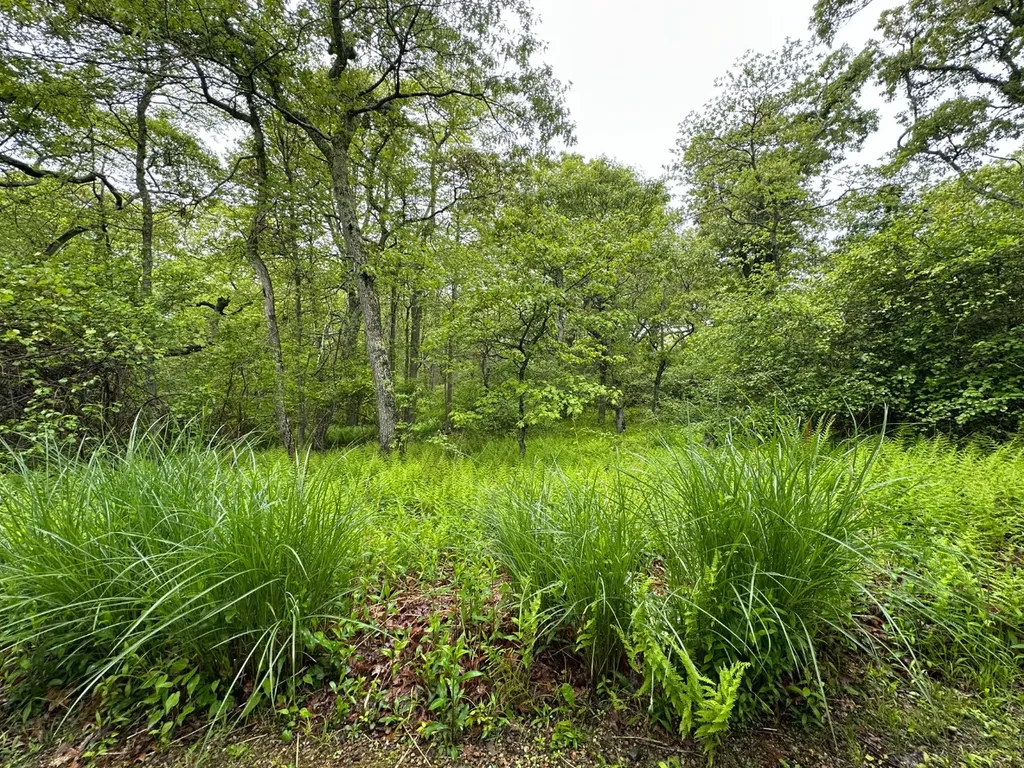19a Locust Lane Aquinnah MA 02535