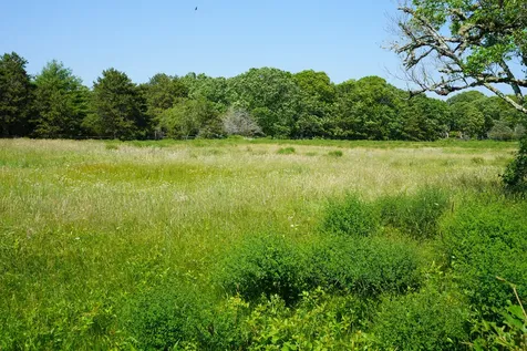 44 Iron Hill Road Oak Bluffs MA 02568